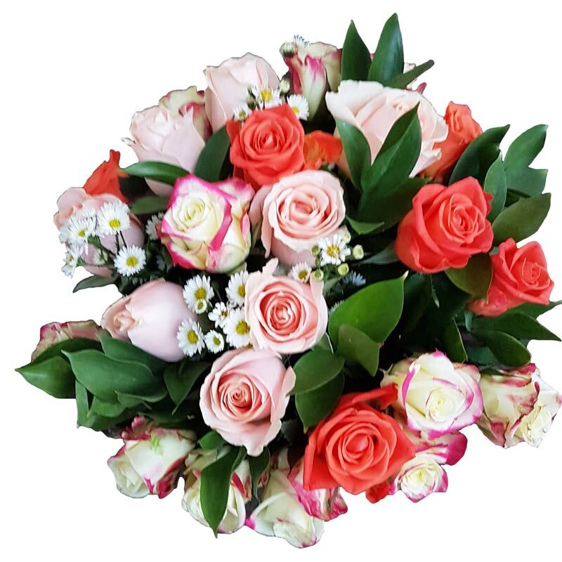 Mixed Roses dozen bouquet