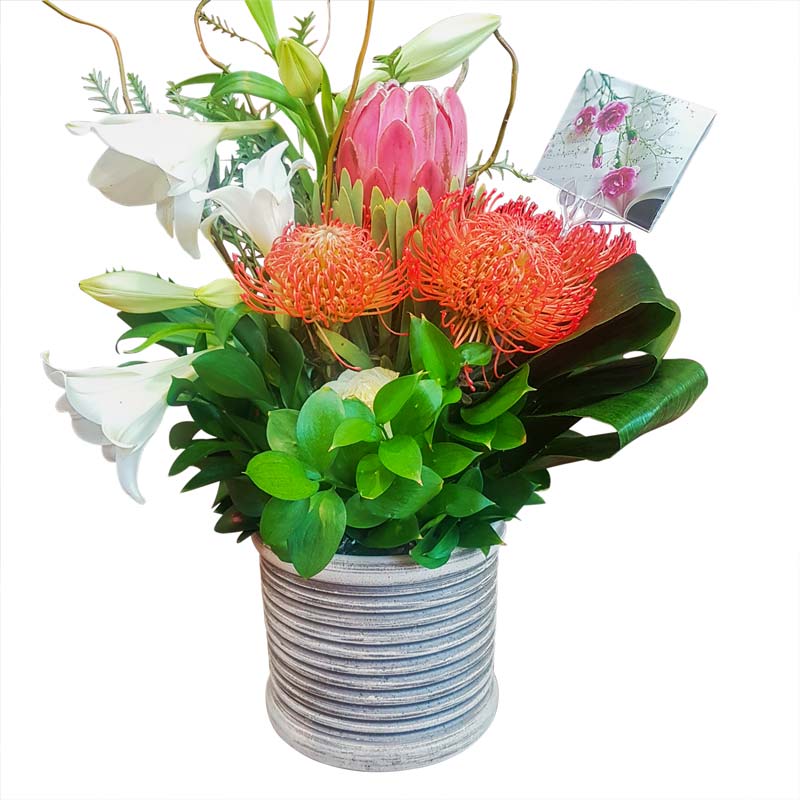 Clay vase with Pin Cushion and Protea VM2