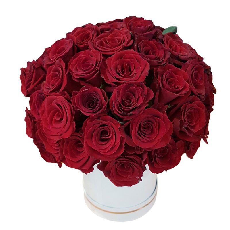 Red Roses Hat Box BX6