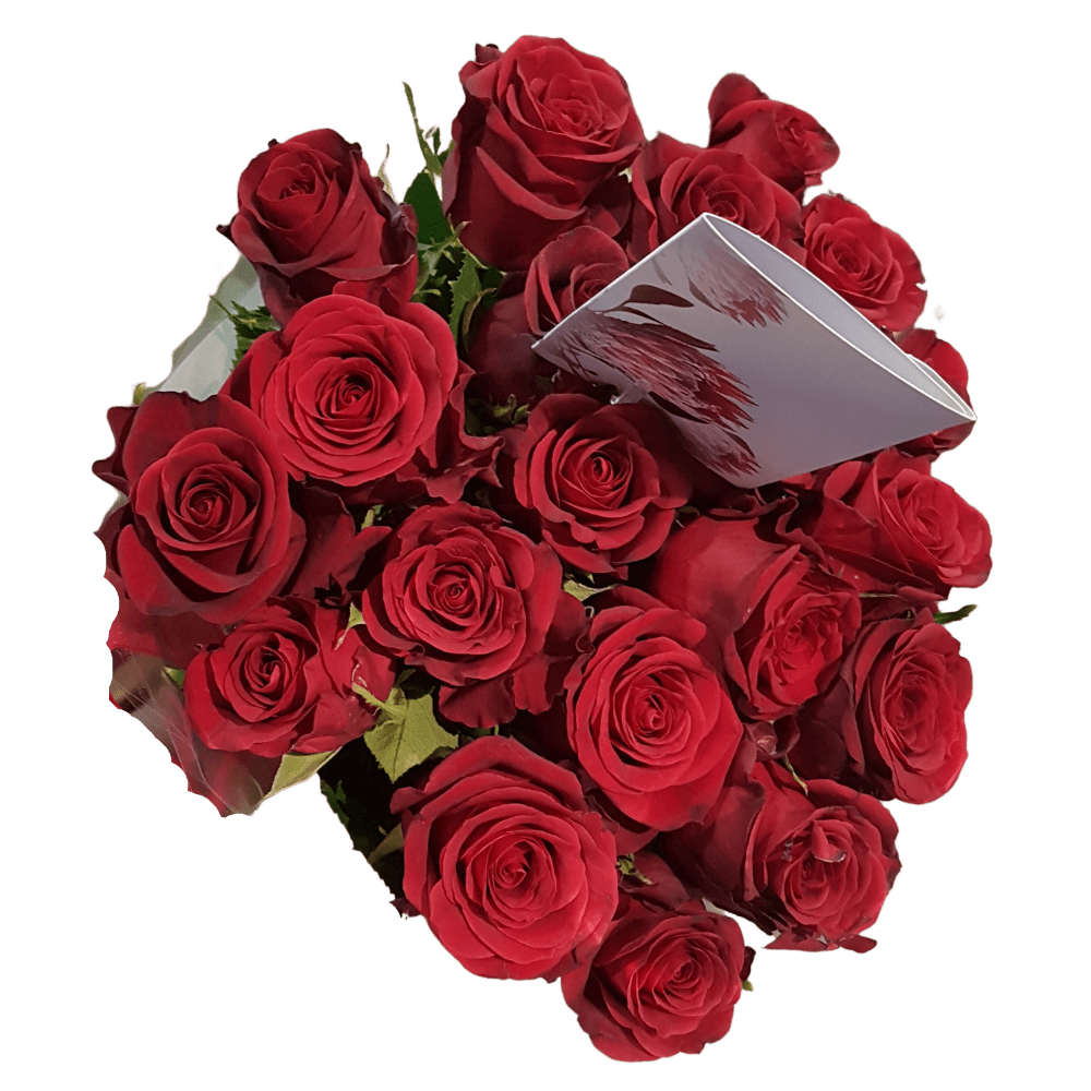 Red Roses Bunch