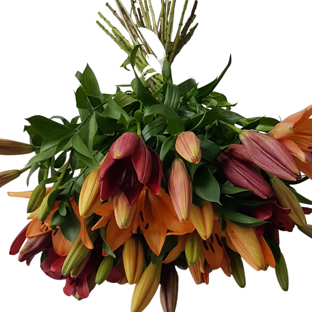 multi colored lilies bunch